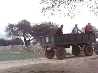 MAQUINARIA AGRICOLA (1)  CAMPESINOS